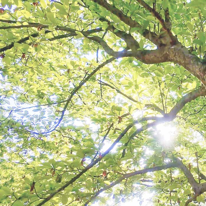 キービジュアルイメージ01